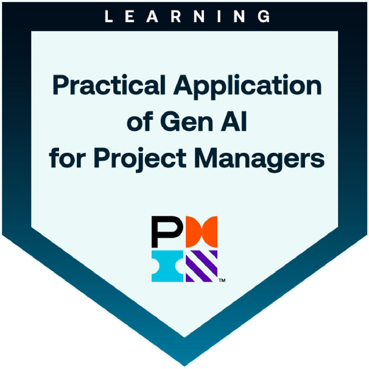 Practical Application of Generative AI for Project Managers